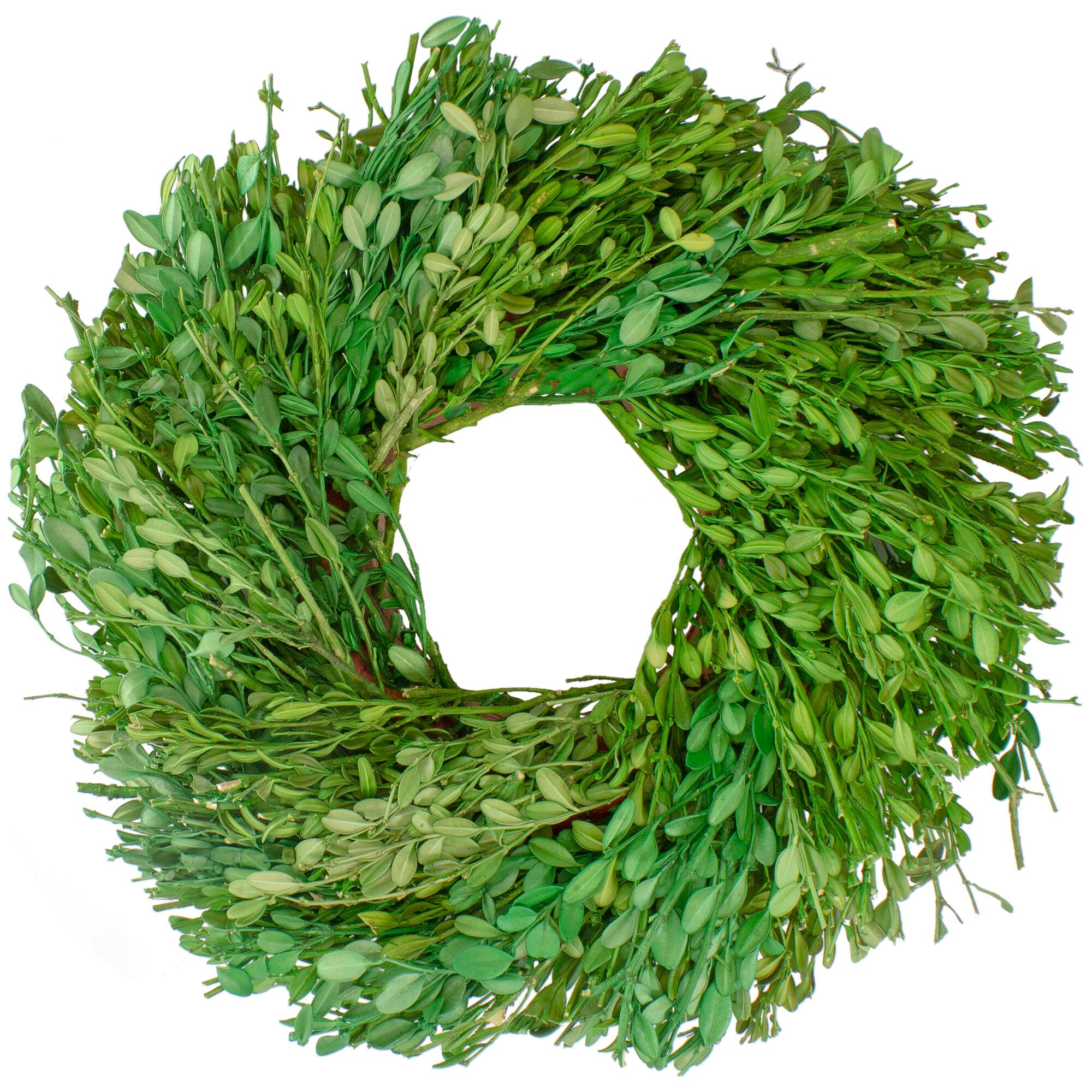 11" Green Foliage Wreath